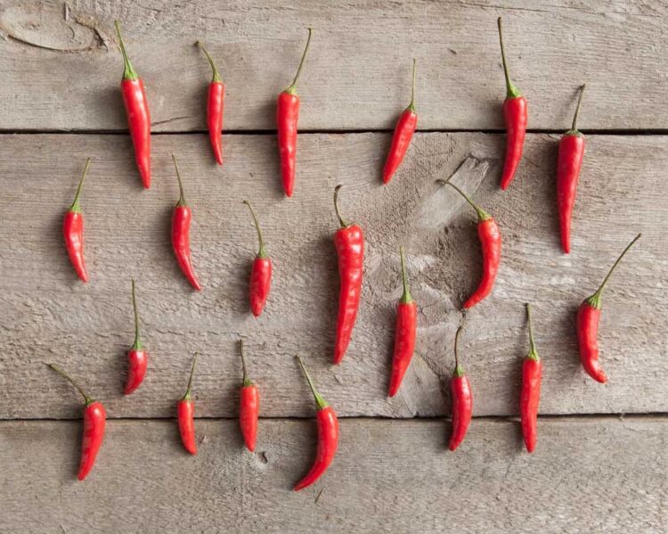 Tre pesticide të ndaluara në speca, Kroacia kthen mbrapsht ngarkesën e radhës nga Shqipëria