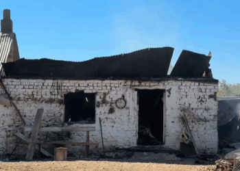 Shkrumbohet stalla me 170 dele në Pogradec, falimenton fermeri