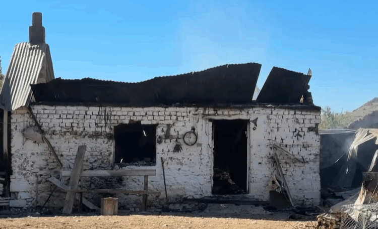 Shkrumbohet stalla me 170 dele në Pogradec, falimenton fermeri