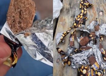 Alarm ushqimor në Tiranë: Çokollata me krimba rikthen shqetësimin për sigurinë e ushqimit