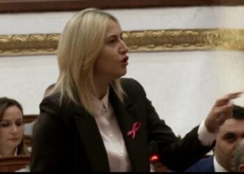 “Bën avokatin e një vrasësi”, Zhupa i kthehet Lamallarit: Turp të të vijë, jep dorëheqjen ti dhe Koçiu