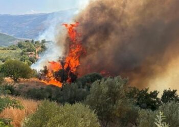 31 milionë euro dëme nga zjarri në Gramsh, bashkia përgatit projektin e rindërtimit