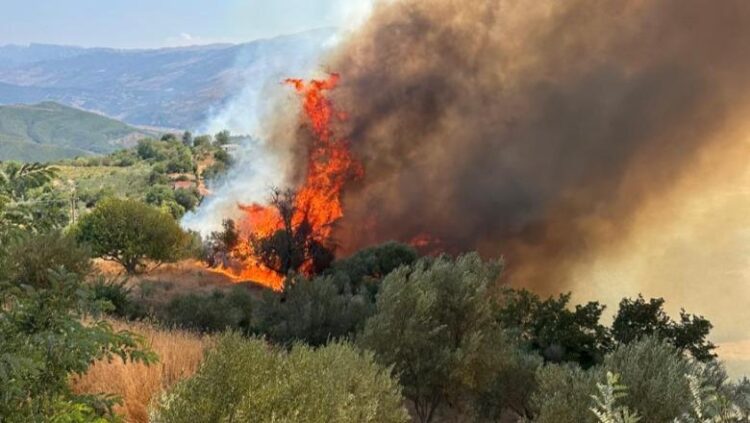 31 milionë euro dëme nga zjarri në Gramsh, bashkia përgatit projektin e rindërtimit