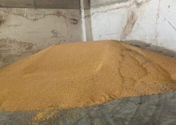 Misri serb, bllokohen 520 ton të tjera në doganën e Hanit të Hotit