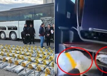 Prizren/ Kapet autobusi me 120 kg kanabis i nisur nga Shqipëria