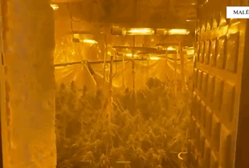 Vila dy katëshe e kthyer në “shtëpi bari” në Malësi të Madhe, arrestohet 22-vjeçari dhe dy punonjës të OSHEE