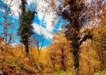 E shtuna me mot të kthjellët dhe vranësira kalimtare