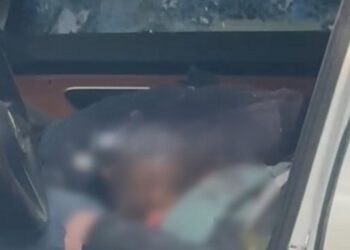 Video nga skena e krimit/ Pamje të rënda nga brenda makinës së Gilmando Danit dhe agjentit të AMP-së