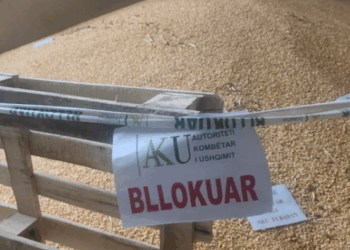 Bllokohen 75 ton misër nga Serbia në Hanin e Hotit