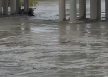 Vjosa rrezikon të dalë nga shtrati në Novoselë, autoritetet apel për t’u evakuuar