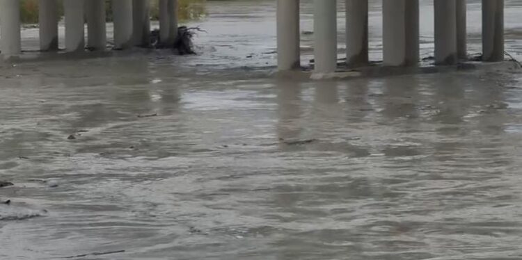 Vjosa rrezikon të dalë nga shtrati në Novoselë, autoritetet apel për t’u evakuuar