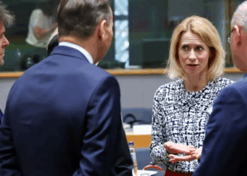 Cilat janë opsionet e BE për Ukrainën?