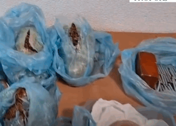 Kanabis dhe eksploziv, kapet trafikanti me varkë në Tropojë