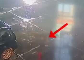 Shijak/ Vidhte para dhe sende me vlerë në biznese të ndryshme, arrestohet i riu (EMRI+VIDEO)