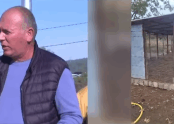 6 mln lekë gjobë për një kotec pulash, qyterari: Dy persona të lidhur me IMT duan të më grabisin tokën