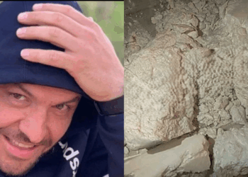 “Është e mirë? E ke provu ti?” Zbardhen bisedat, oficeri i Antiterrorit komunikon për blerje kokaine