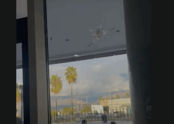 Breshëria e plumbave depërton te xhamat e bizneseve/ Ja çfarë la pas atentati ndaj Gilmando Danit