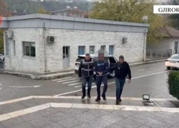 Depo armësh dhe bazë droge, arrestohen tre persona nga një familje në Gjirokastër