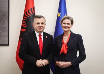 Takimi me krerët e grupeve/ VanHorn: SHBA do të bashkëpunojë me përfaqësues nga i gjithë spektri politik