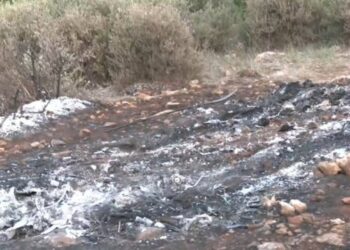 Vrasja ne Greqi/ Trupi i karbonizuar qëndroi 48 Orë në automjet para se të zbulohej