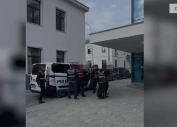 Drogë dhe armë, aksion në Elbasan