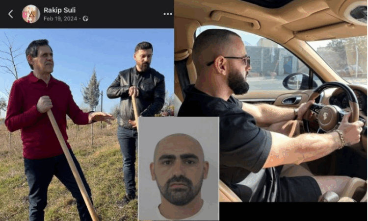 U arrestua si pjesë e grupit të Elvis Lamit, Florin Domi shfaqej përkrah Rakip Sulit duke mbjelle pemë