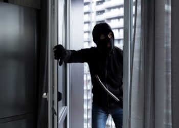 Ndodh edhe kjo/ Hajduti bie nga çatia, pronari i shtëpisë i jep ndihmën e parë