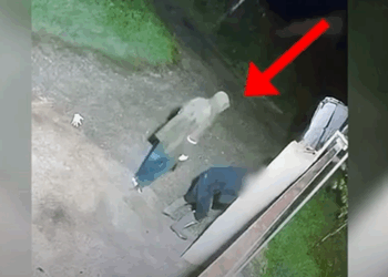 Vodhën 100 litra naftë në një banesë në Vorë – në pranga dy persona