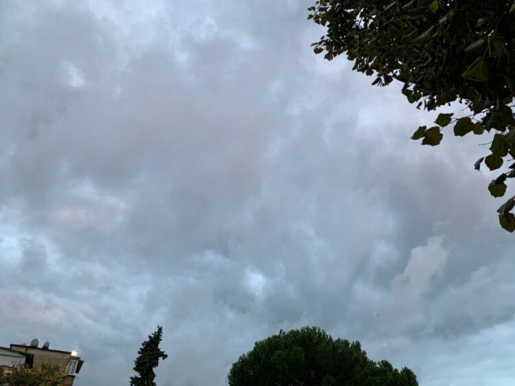 A mbaruan reshjet? Parashikimi i motit për këtë të dielë