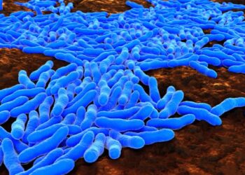 ILAÇ I RI KUNDËR TUBERKULOZIT/ Mjekët thonë se rezultatet e para janë shumë premtuese