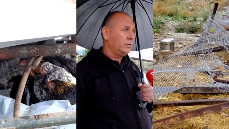 IMT nis shembjen e kotecëve në fshatrat e Tiranës, gjobit me miliona lekë banorët “kriminelë”