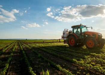 Arrestohen 5 zyrtarë për korrupsion me subvencionet IPARD në Maqedoninë e Veriut