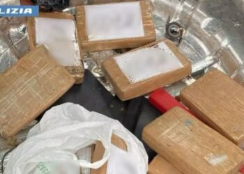Itali/ I riu shqiptar kapet me 10 kg kokainë të fshehur në bagazh