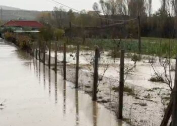 Lezhë/ Banesa dhe toka ende nën ujë, banorët përballen me vështirësi pas përmbytjeve