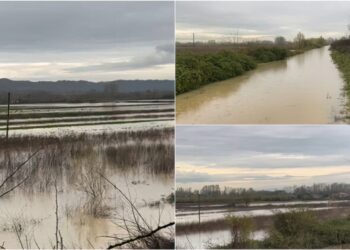 Del nga shtrati lumi Ishëm, qindra hektarë tokë nën ujë në Murqinë të Krujës