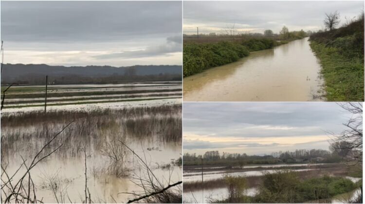 Del nga shtrati lumi Ishëm, qindra hektarë tokë nën ujë në Murqinë të Krujës