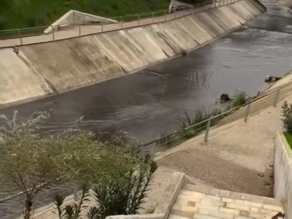Ndotet sërish lumi Gjanica në Fier, kompanitë e naftës derdhin mbetjet hidrokarbure në ujë (Video)