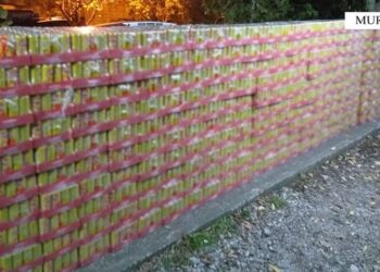 Shkodër/ Transportonin mallra kontrabandë arrestohet shoferi, procedohen dy doganierë