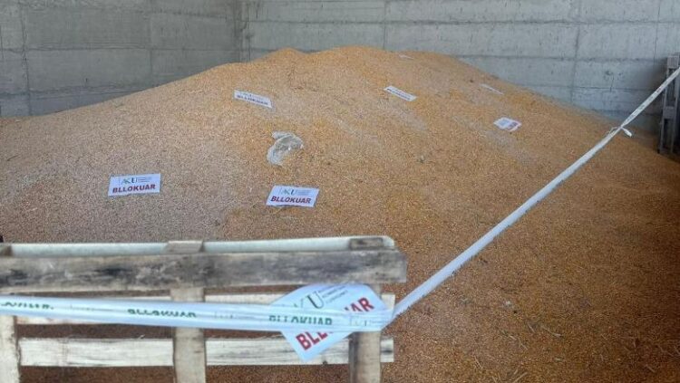 Bllokohen edhe 420 ton misër të ardhur nga Serbia, dyshohet me përmbajtje të lartë aflatoksine