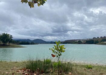 Parashikimi i motit për sot, 4 Nëntor 2025