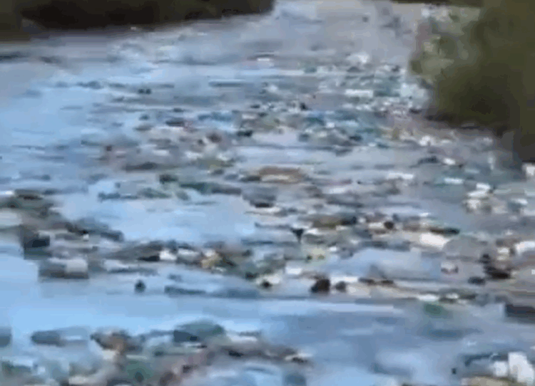 Alarm nga Italia: Lumenjtë e Shqipërisë derdhin plastike drejt Adriatikut!