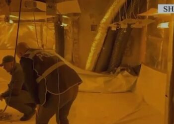 Zbulohet shtëpia e barit në Shkodër, disa të arrestuar – Emrat