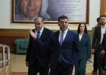 Çfarë po ndodh në Partinë Demokratike të Kosovës?