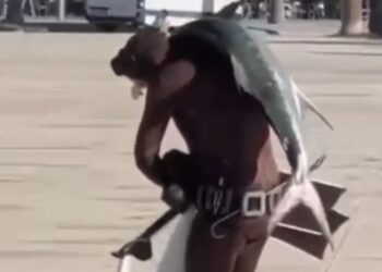 E rrallë në Vlorë/ Vlonjati kap peshkaqenin, e merr në krahë dhe e çon në shtëpi