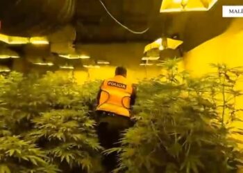 Zbulohen 3 “shtëpi bari” në Malësi të Madhe, 2 në pranga, 4 punonjës të OSHEE në hetim