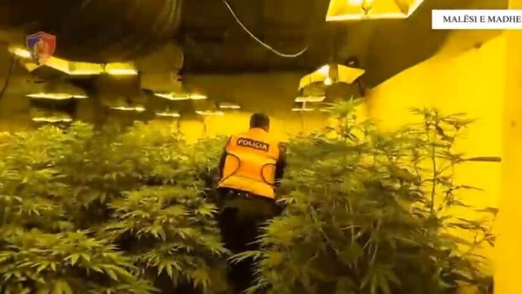 Zbulohen 3 “shtëpi bari” në Malësi të Madhe, 2 në pranga, 4 punonjës të OSHEE në hetim