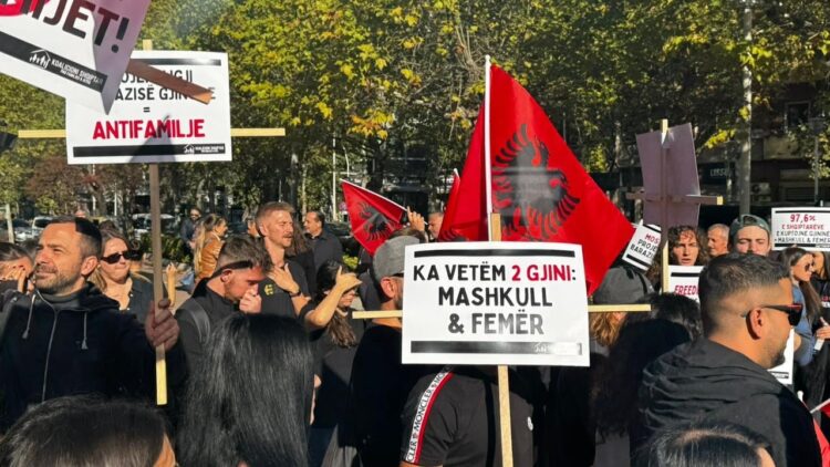 “Mos votoni kundër fëmijëve”/ Protestë kundër projektligjit për barazinë gjinore para Kuvendit