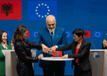 Nga hapja e grupkapitullit të fundit me BE te Samiti i Planit të Rritjes, ngjarjet kryesore të javës