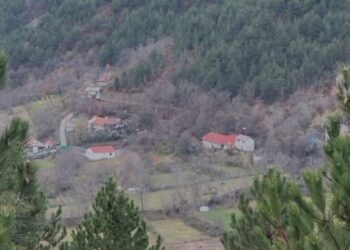 Identifikohet 24-vjeçari i armatosur që kërcënoi policinë në Orosh (VIDEO)