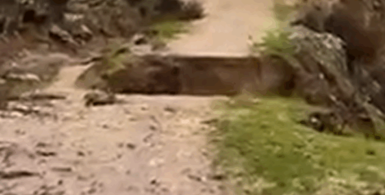 Delvinë/ Shembet ura që lidh tre fshatra, izolohen banorët (Video)